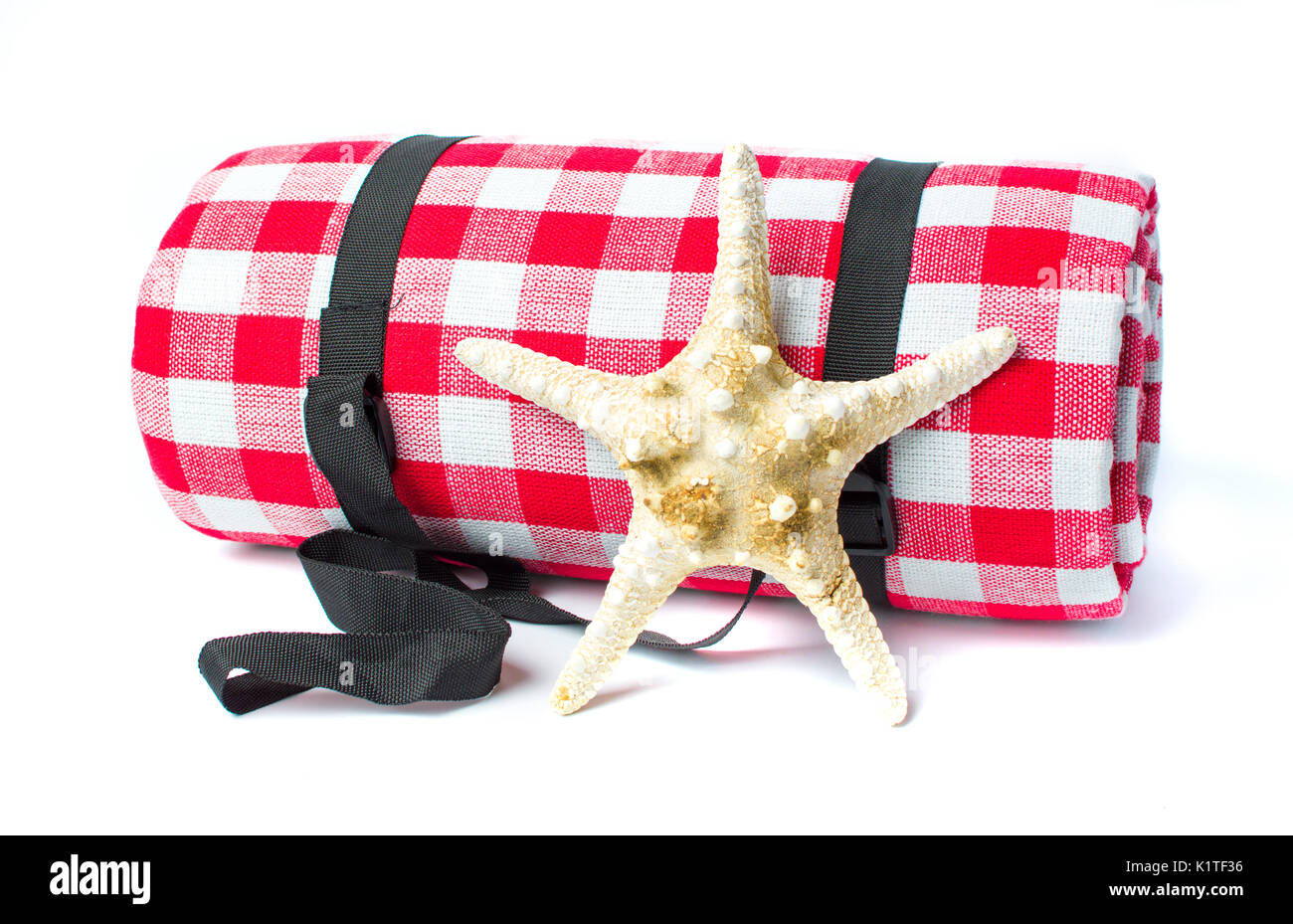 Karierte Picknickdecke und Sea Star isoliert Stockfoto