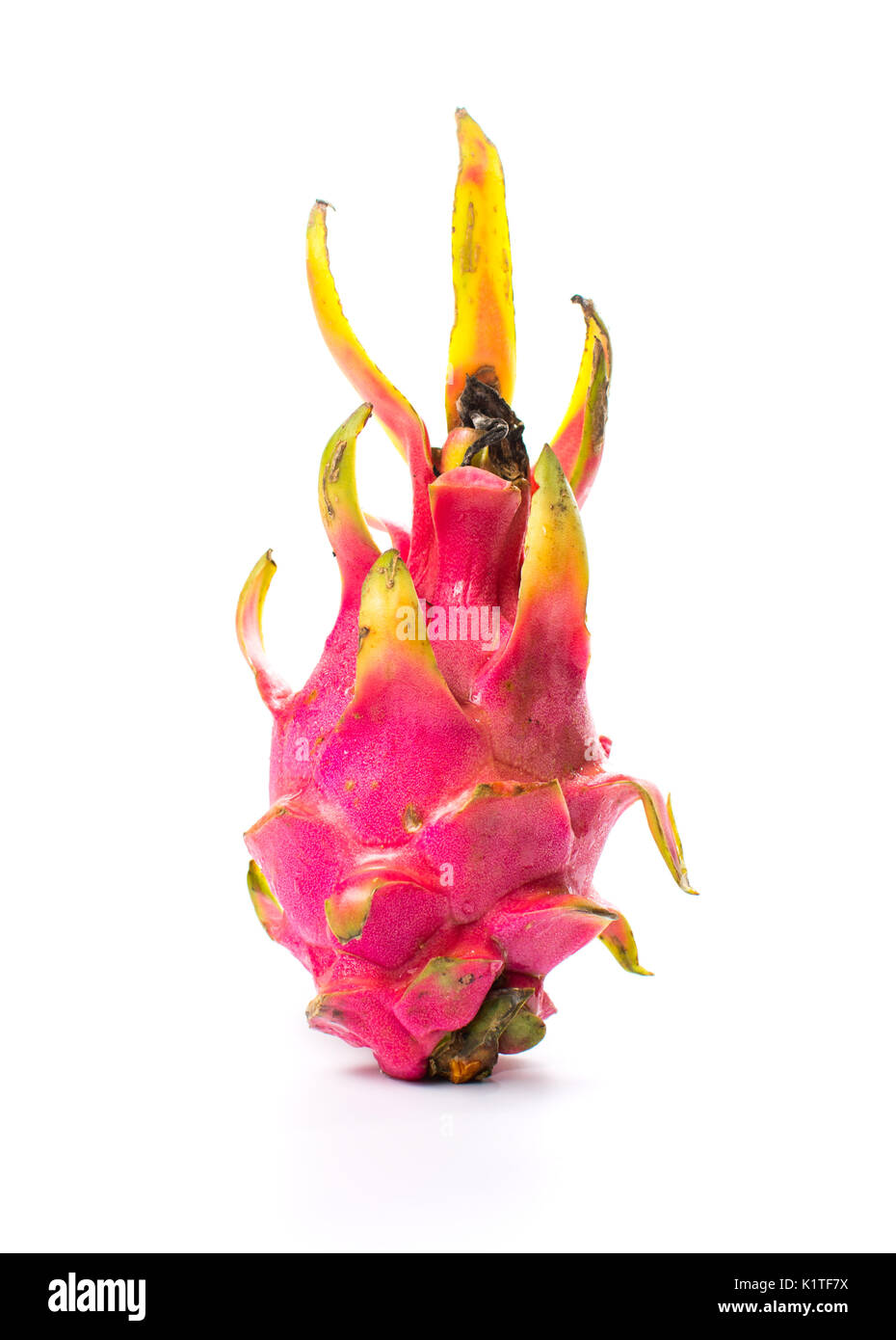 Pitaya, ganze Drachenfrucht auf weißem Hintergrund Stockfoto