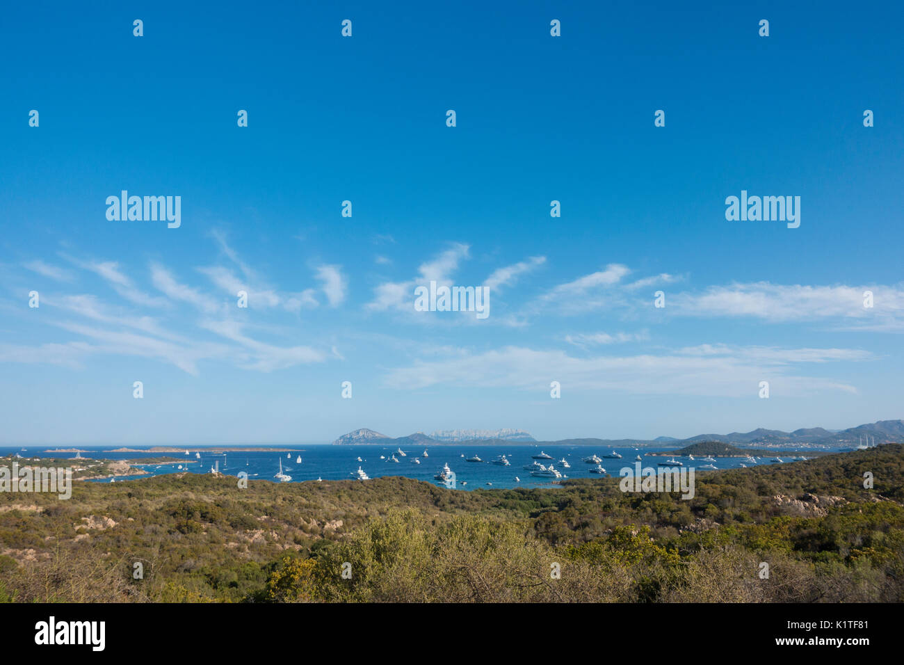 Blick auf eine Bucht voller Yachtcharter in Sardinien, Italien Stockfoto