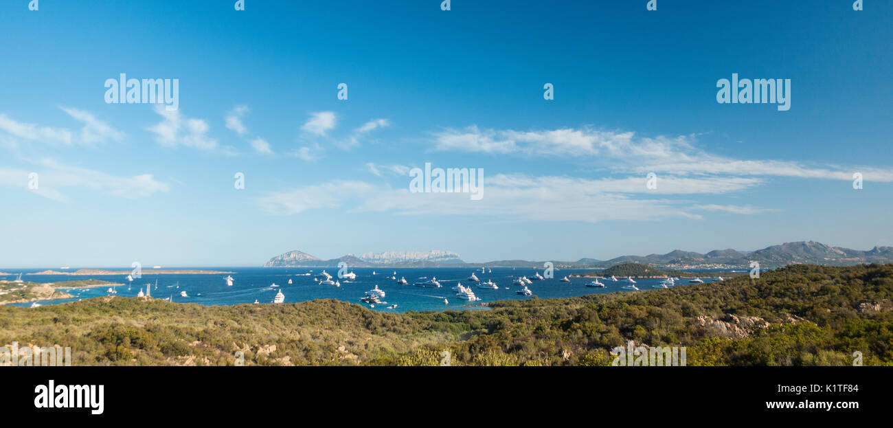 Blick auf eine Bucht voller Yachtcharter in Sardinien, Italien Stockfoto