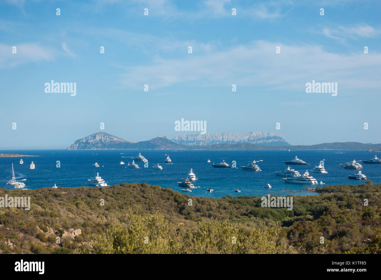 Blick auf eine Bucht voller Yachtcharter in Sardinien, Italien Stockfoto