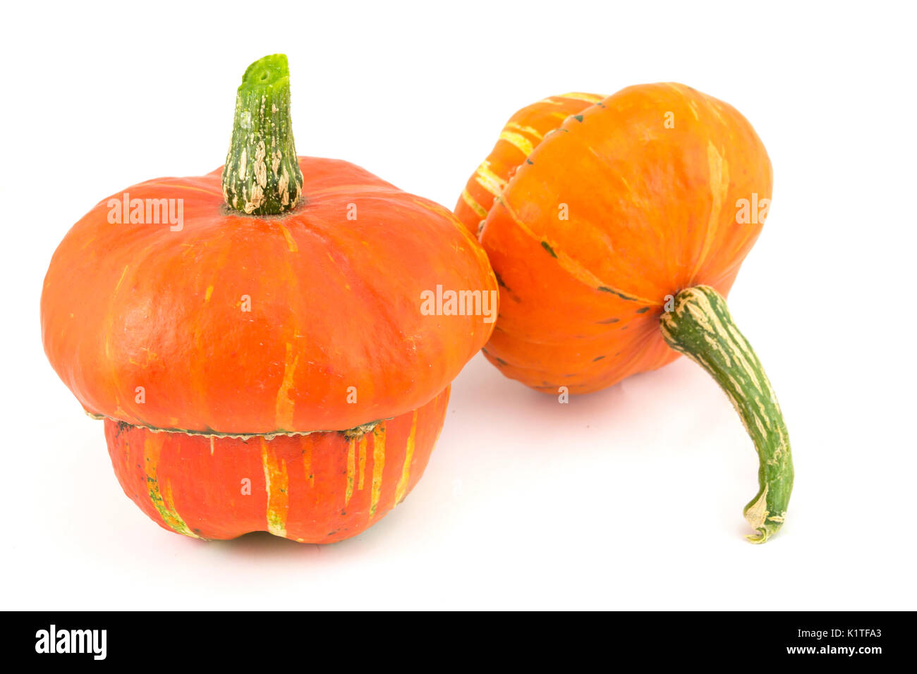 Zwei dekorative Kürbisse auf weißem Hintergrund. Herbst Stockfoto