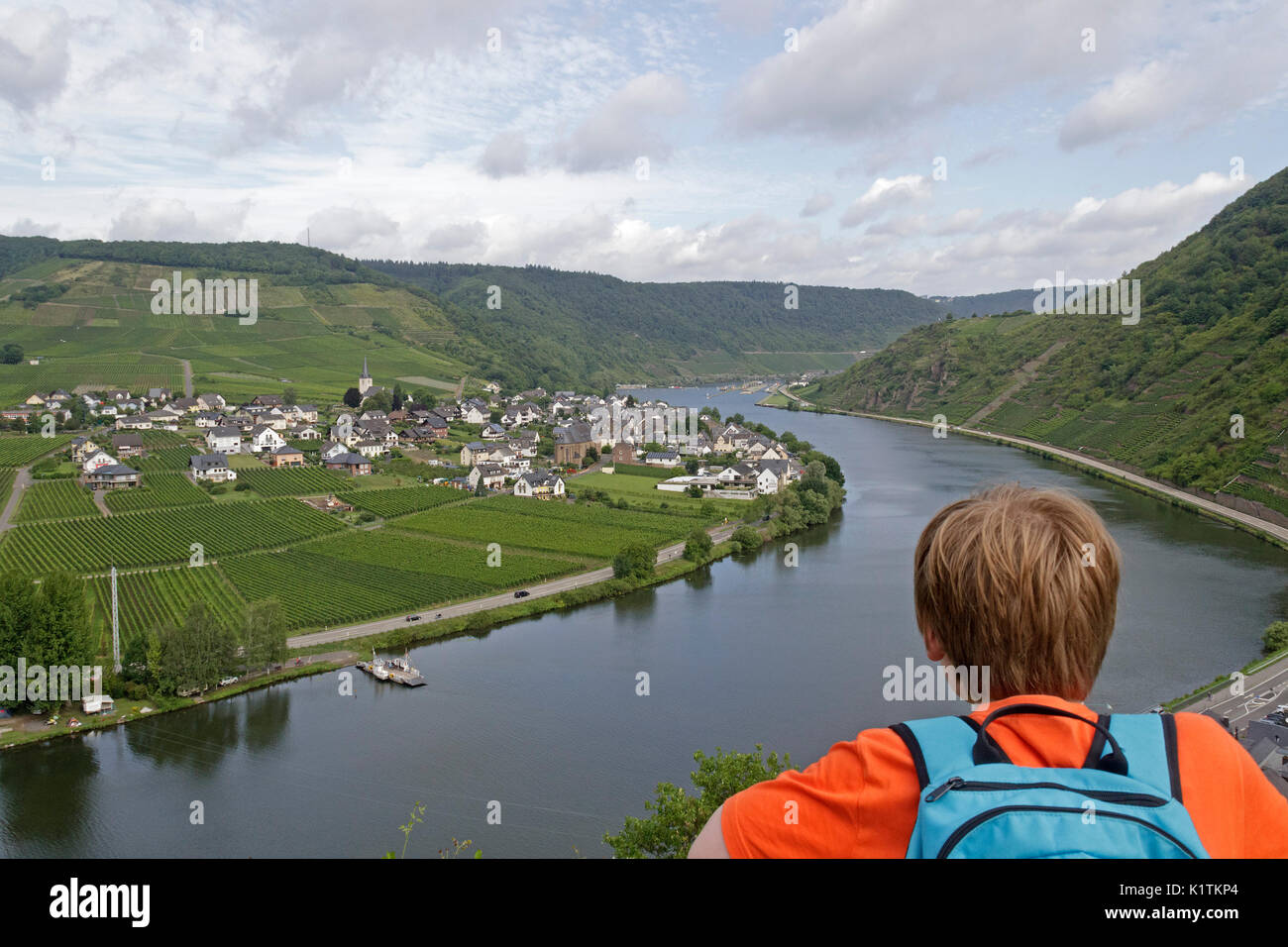 Blick über die Mosel von Ellenz-Poltersdorf vom Schloss, Beilstein, Mosel, Rheinland-Pfalz, Deutschland Stockfoto