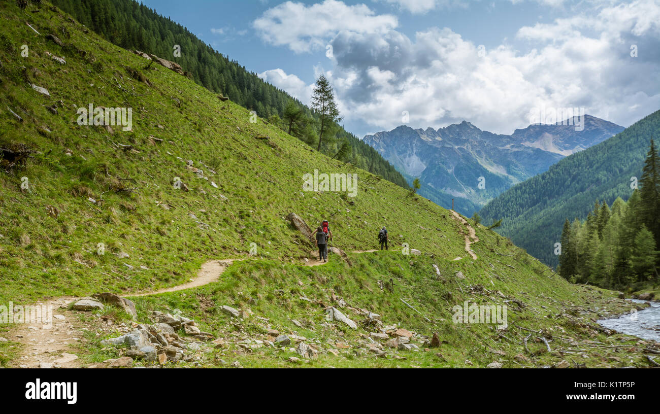 Mountain Road Landschaft. Rabbi Tal, Trentino Alto Adige, Italien Stockfoto