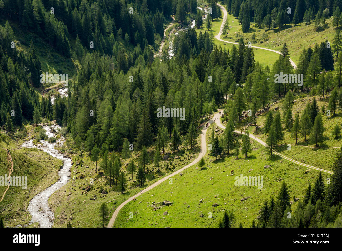 Berglandschaft. Sommer Blick des Rabbi Tal, Trentino Alto Adige, Italien Stockfoto