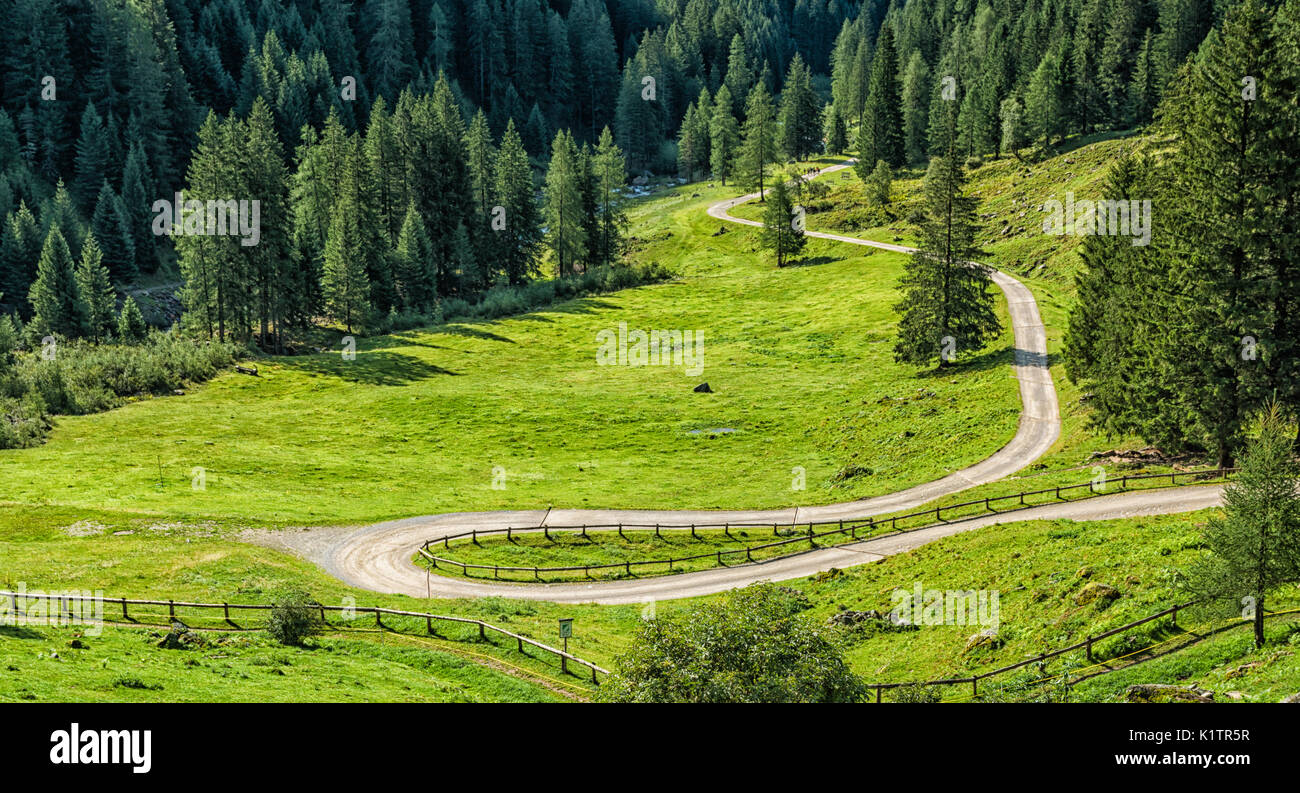 Berglandschaft. Sommer Blick des Rabbi Tal, Trentino Alto Adige, Italien Stockfoto