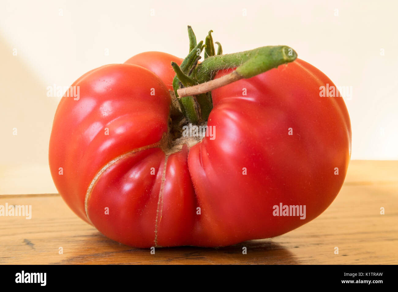 Eine große Fleischtomate, Erbe Brandy Wein, in eine schwierige gefalteten Form wächst Stockfoto