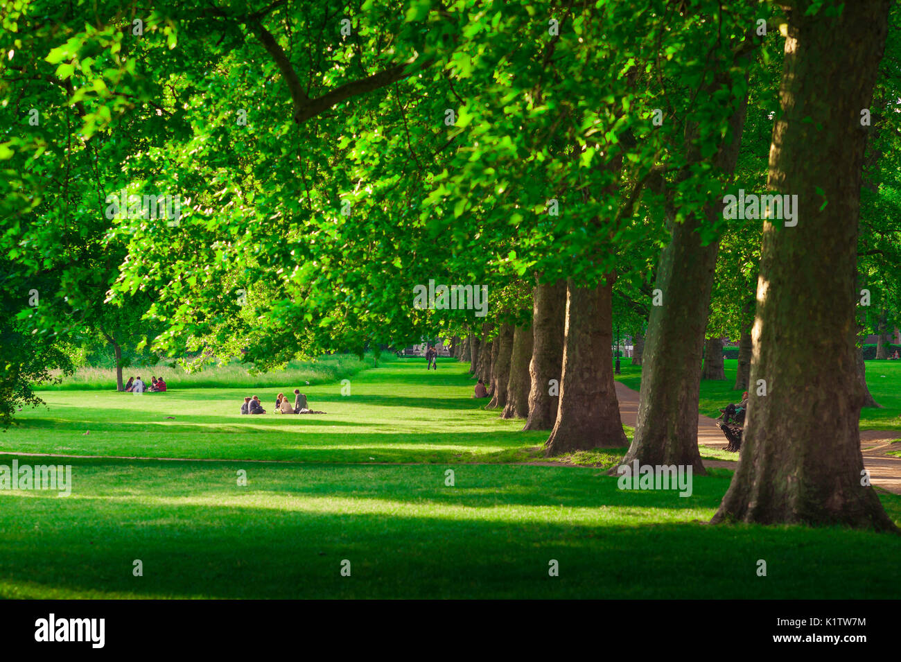 Green Park London, Sommer Besucher Green Park im Zentrum von London, im Schatten einer Reihe von Bäumen, UK entspannen. Stockfoto
