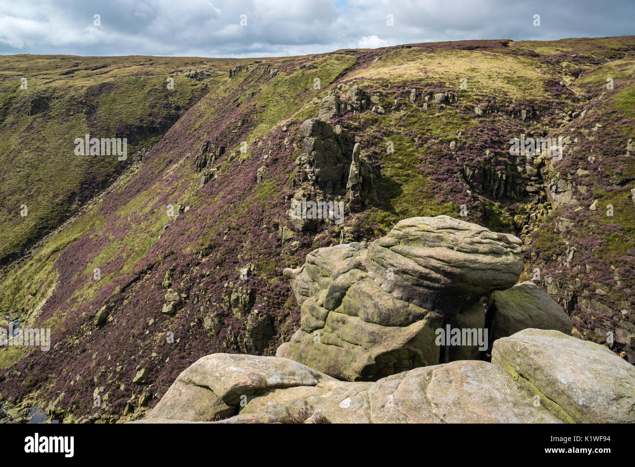 Die raue Landschaft am Rande des Kinder Scout im Sommer. Heidekraut und Felsen über Grindsbrook Clough, Alfreton, Derbyshire, England. Stockfoto