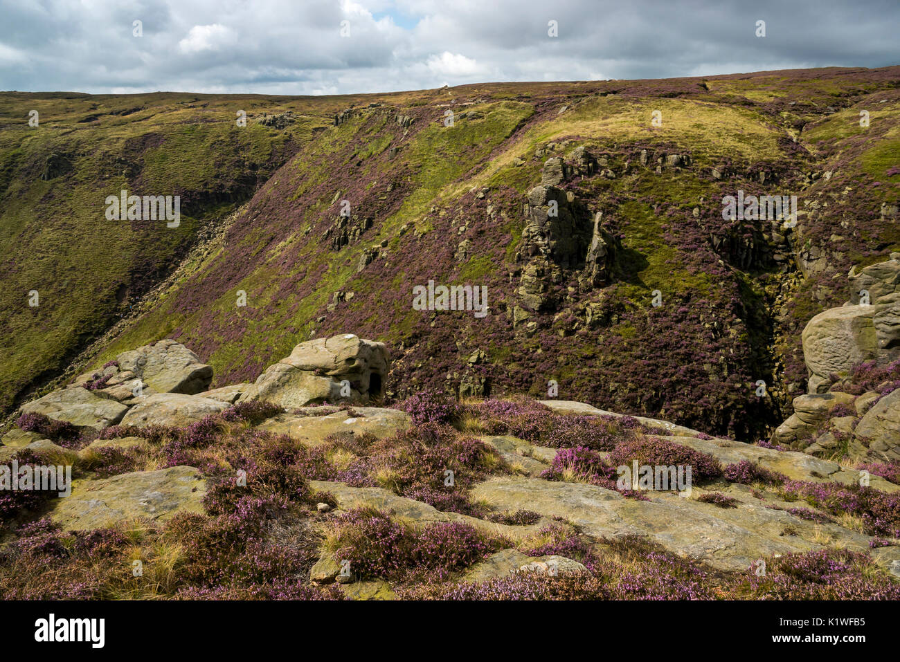 Die raue Landschaft am Rande des Kinder Scout im Sommer. Heidekraut und Felsen über Grindsbrook Clough, Alfreton, Derbyshire, England. Stockfoto