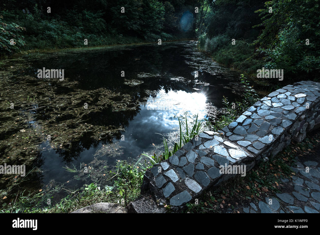 Reflexionen in einem alten Teich Stockfoto