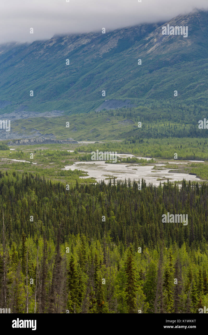 Tal an der Matanuska Gletscher, Glenn Highway, Alaska, USA Stockfoto