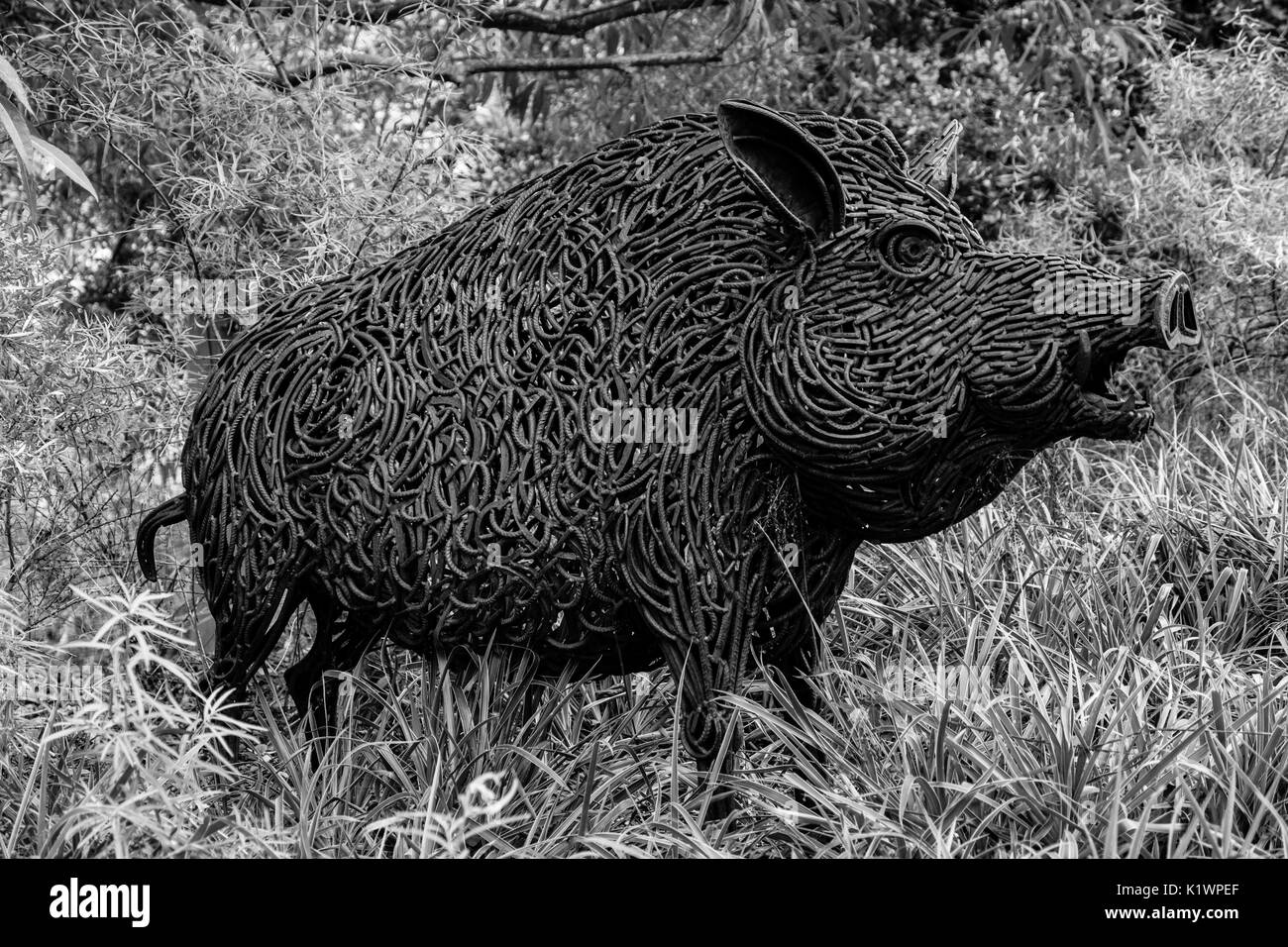 Wildschwein Skulptur an pensthorpe Natural Park, in der Nähe von Fakenham, Norfolk, Großbritannien Stockfoto
