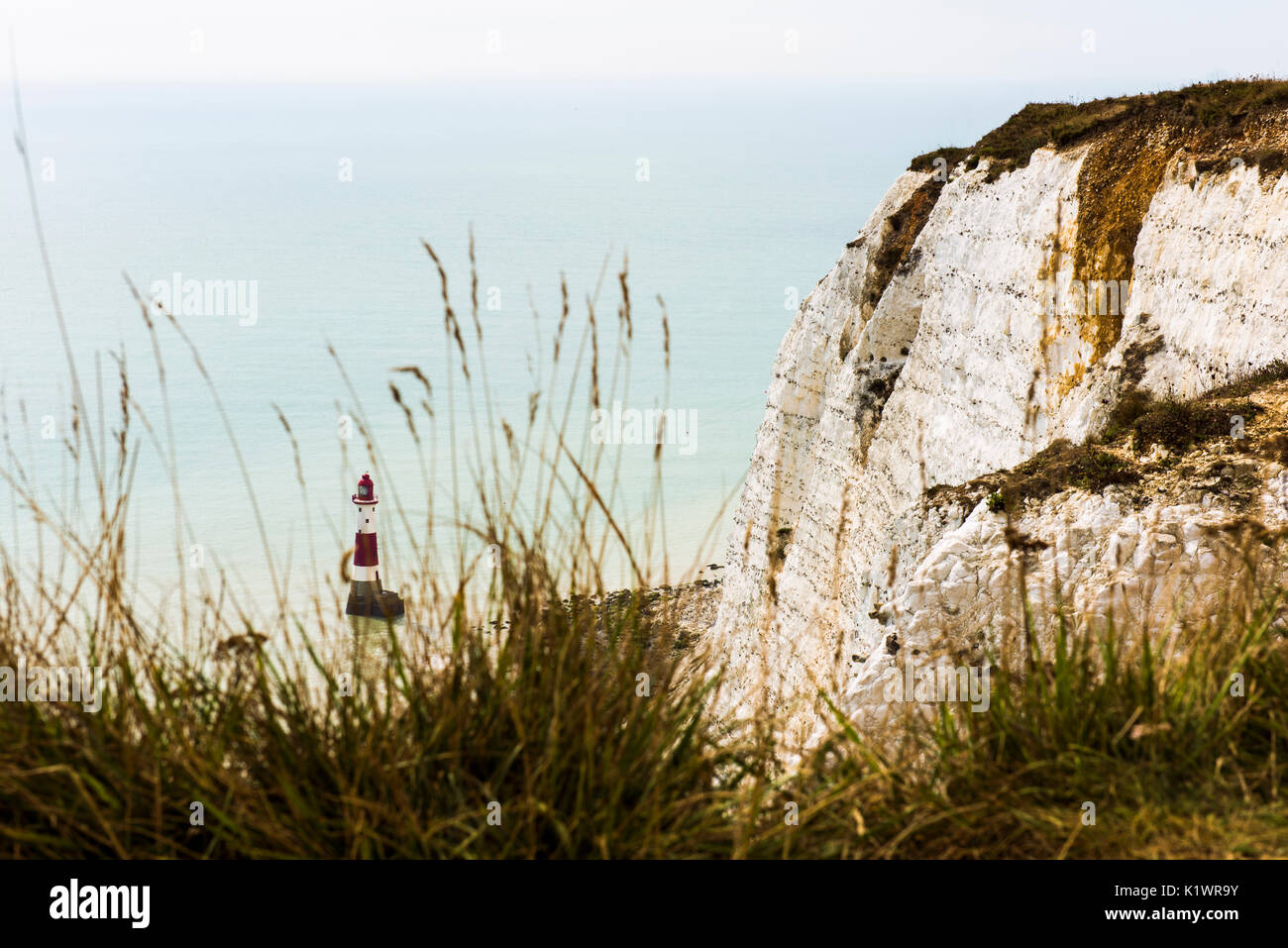 Der Bereich der Kreide Vorgewende in East Sussex, England genannt Beachy Head. Liegt ganz in der Nähe von Eastbourne und ist berühmt für seine Leuchtturm. Stockfoto