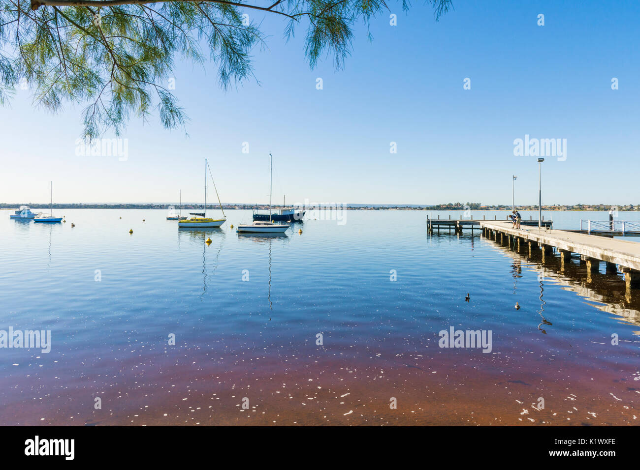 Swan River Blick in Richtung Jo Jo's Jetty von JH Abrahams finden Vorland, Crawley, Perth, Western Australia Stockfoto