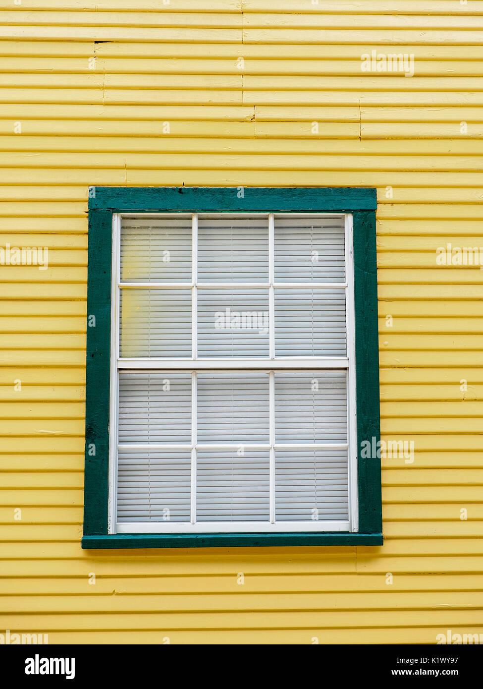 Feder TX USA - Juli 12, 2017 - Bild von Grün gerahmte Fenster auf ein gelbes Gebäude Stockfoto