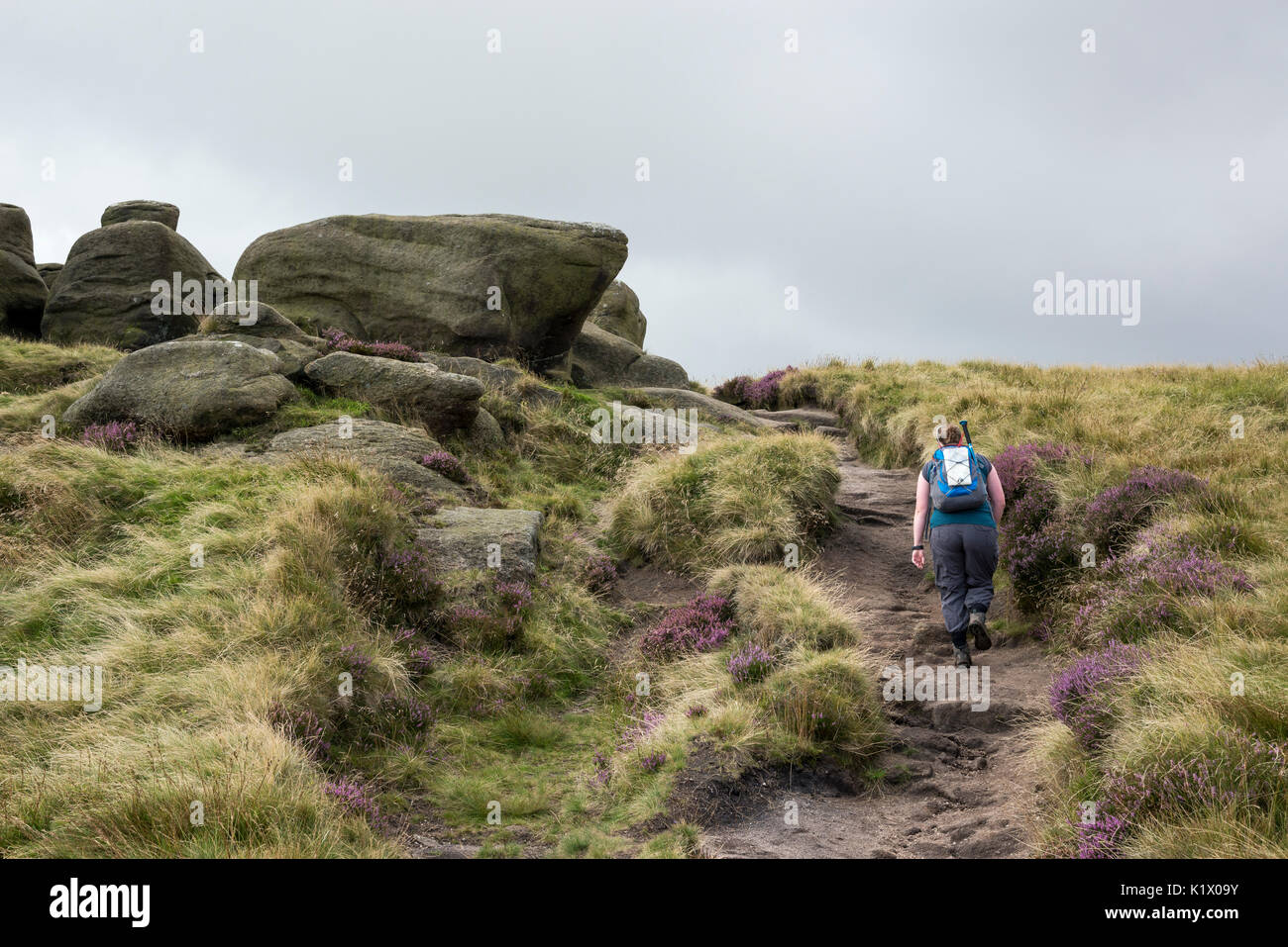Single Frau wandern in der felsigen Landschaft auf Kinder Scout im Peak District, Derbyshire, England. Stockfoto