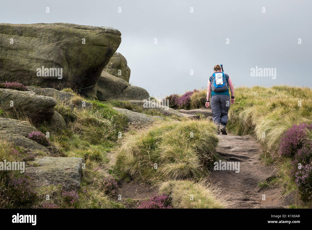 Single Frau wandern in der felsigen Landschaft auf Kinder Scout im Peak District, Derbyshire, England. Stockfoto