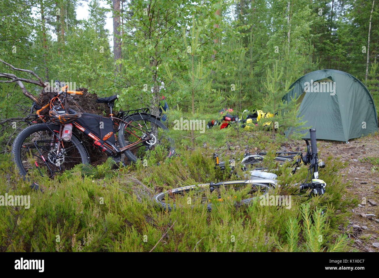 Taipalsaari, Finnland - 1. Juli 2015: Bike Verpackung Fahrräder, Packtaschen, Zelt und andere Campingausrüstung im Wald im Osten Finnlands Stockfoto