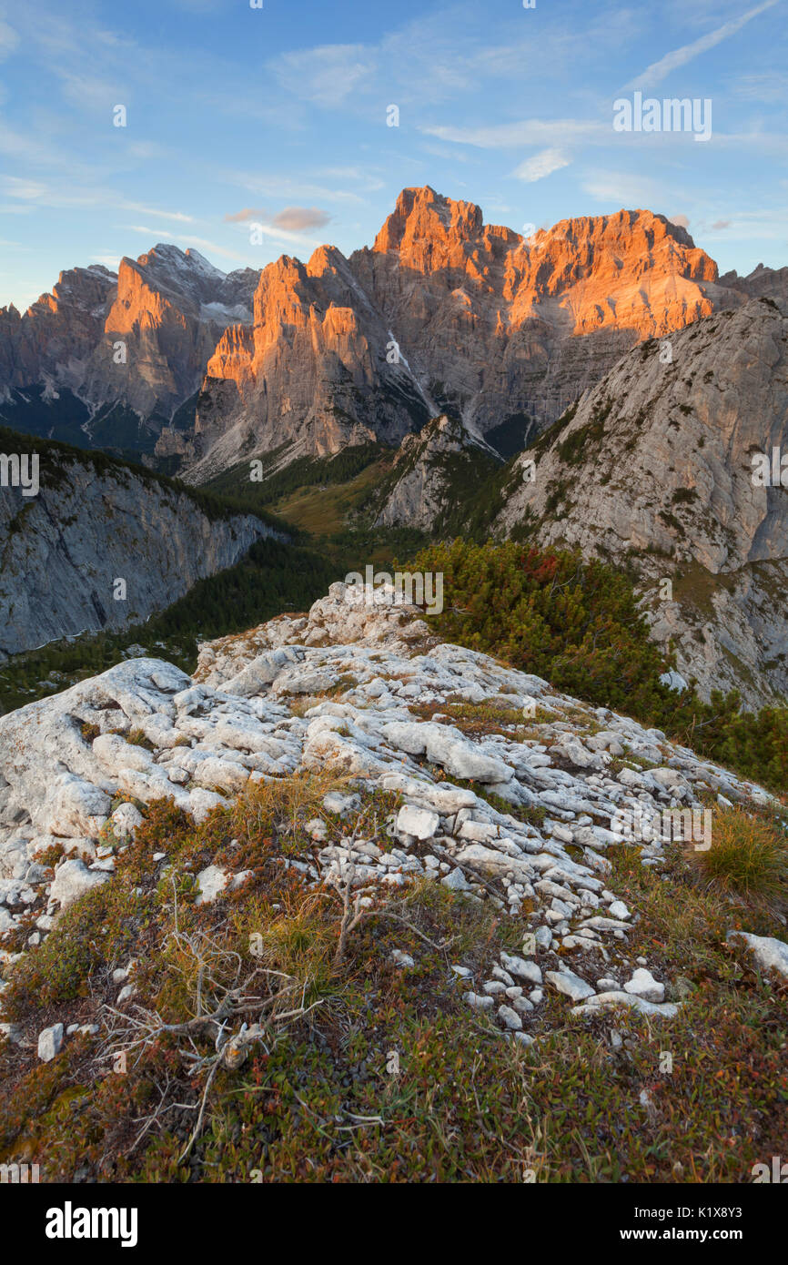 Framont Fotos und Bildmaterial in hoher Auflösung Alamy