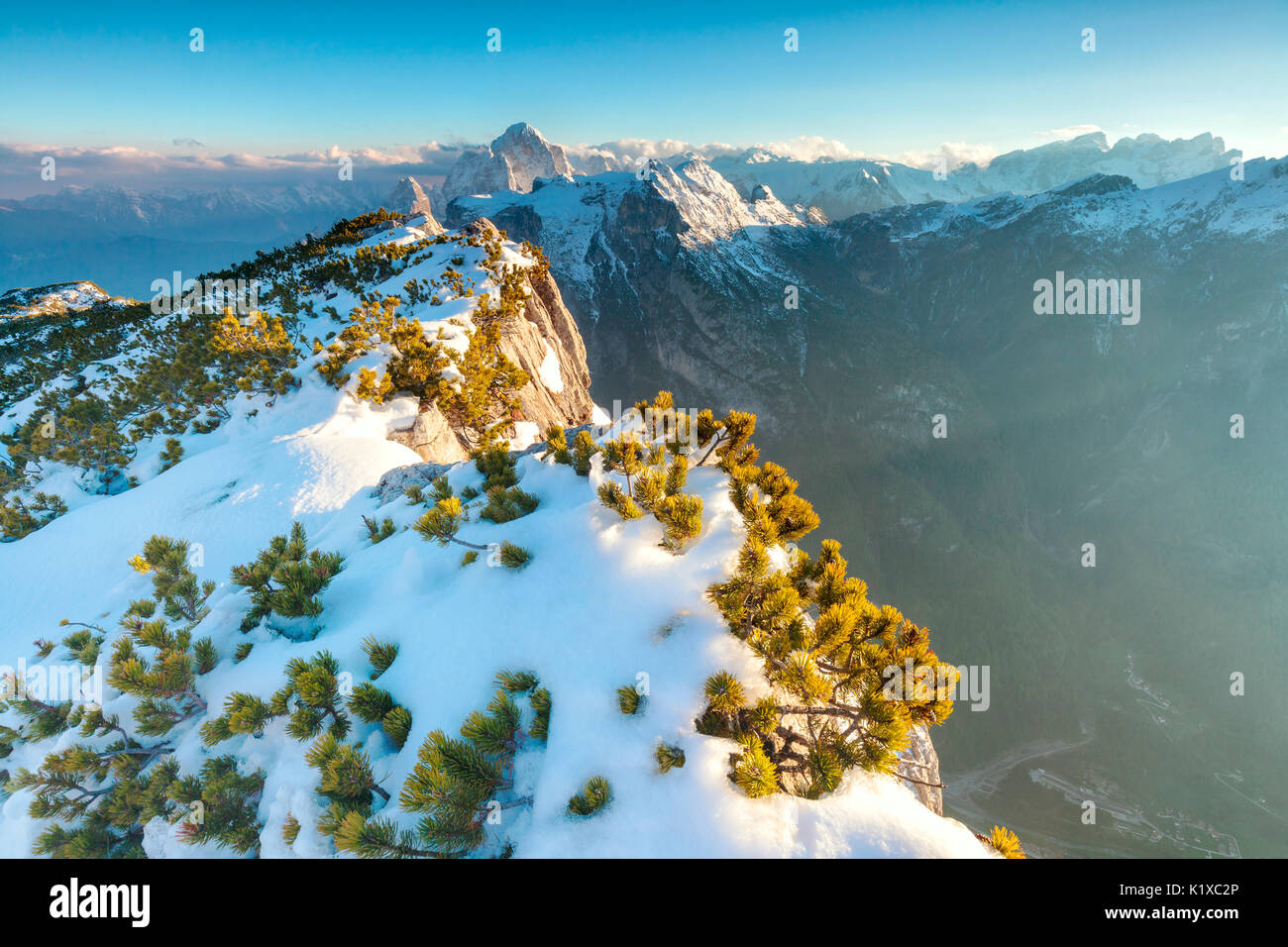 Europa, Italien, Veneto, Belluno, Agordino, Dolomiten. Unberührten Schnee und Berge Kiefer Sträucher auf Palazza Alta, im Hintergrund die Agner, Pale di San Stockfoto