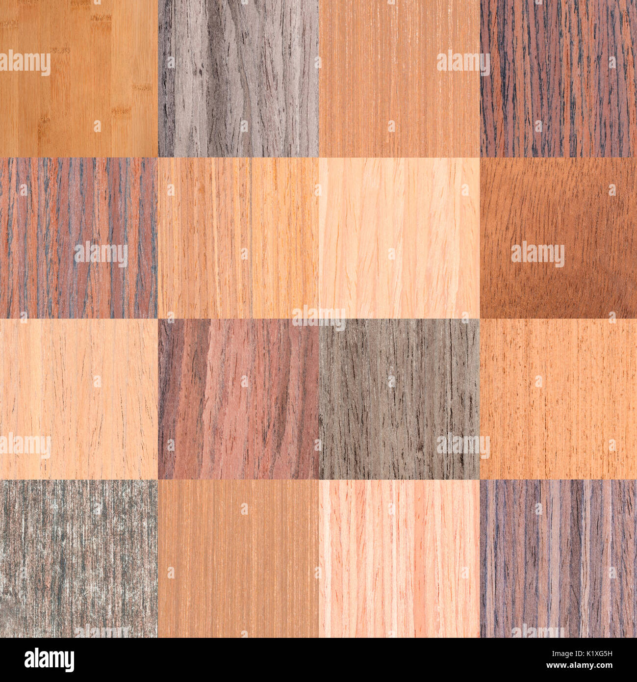 Collage aus verschiedenen natürlichen Holz- Textur, Baum furnier Hintergrund Stockfoto