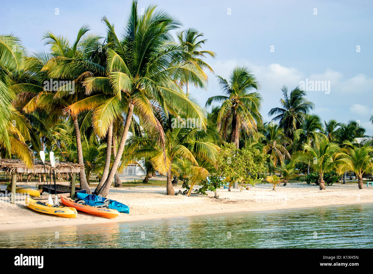 Kajaks und Palmen auf Süden Wasser Caye, Belize. Stockfoto