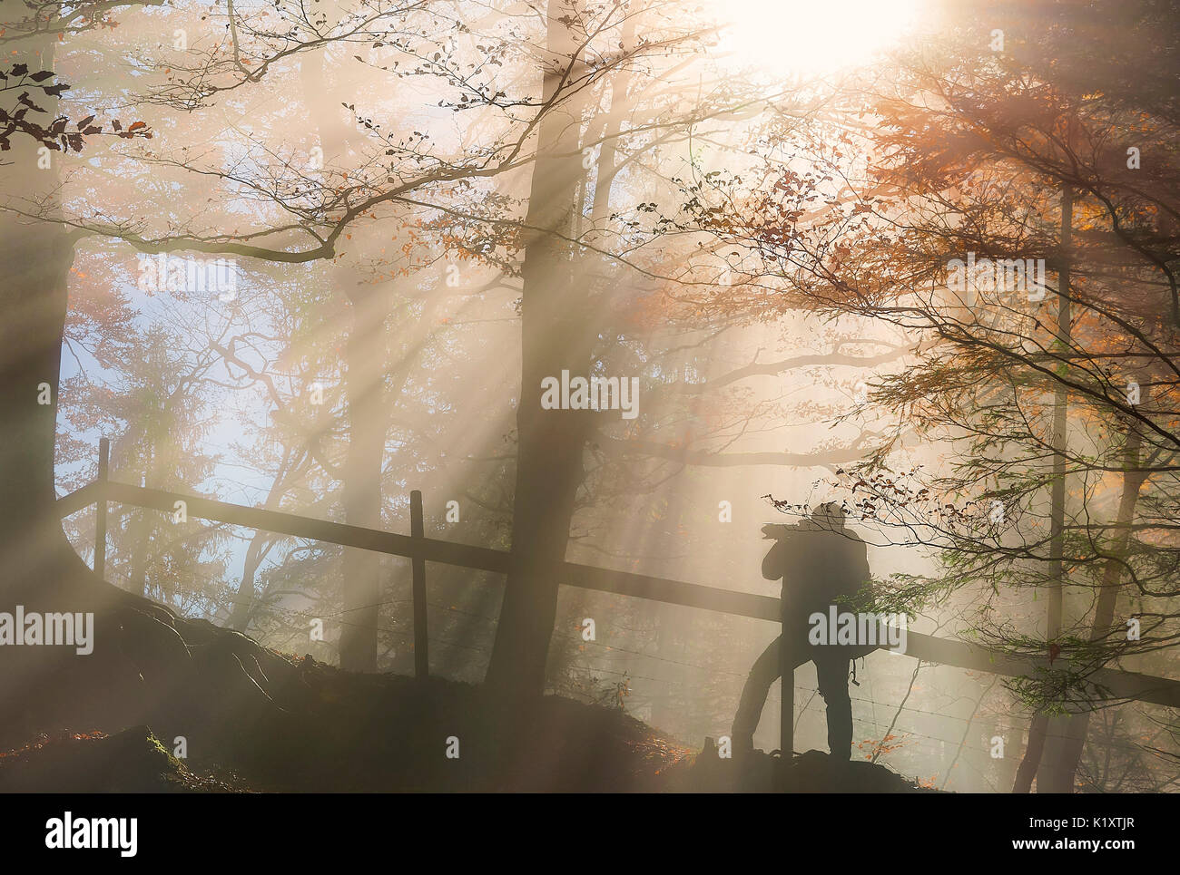 Konzeptionelle Bild mit der Silhouette der Mann hält eine Kamera, beim Wandern in einen Wald, unter die warmen Sonnenstrahlen im Oktober. Stockfoto
