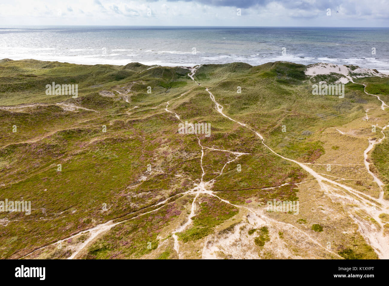 Dünen an der Nordsee an der Westküste von Dänemark Stockfoto