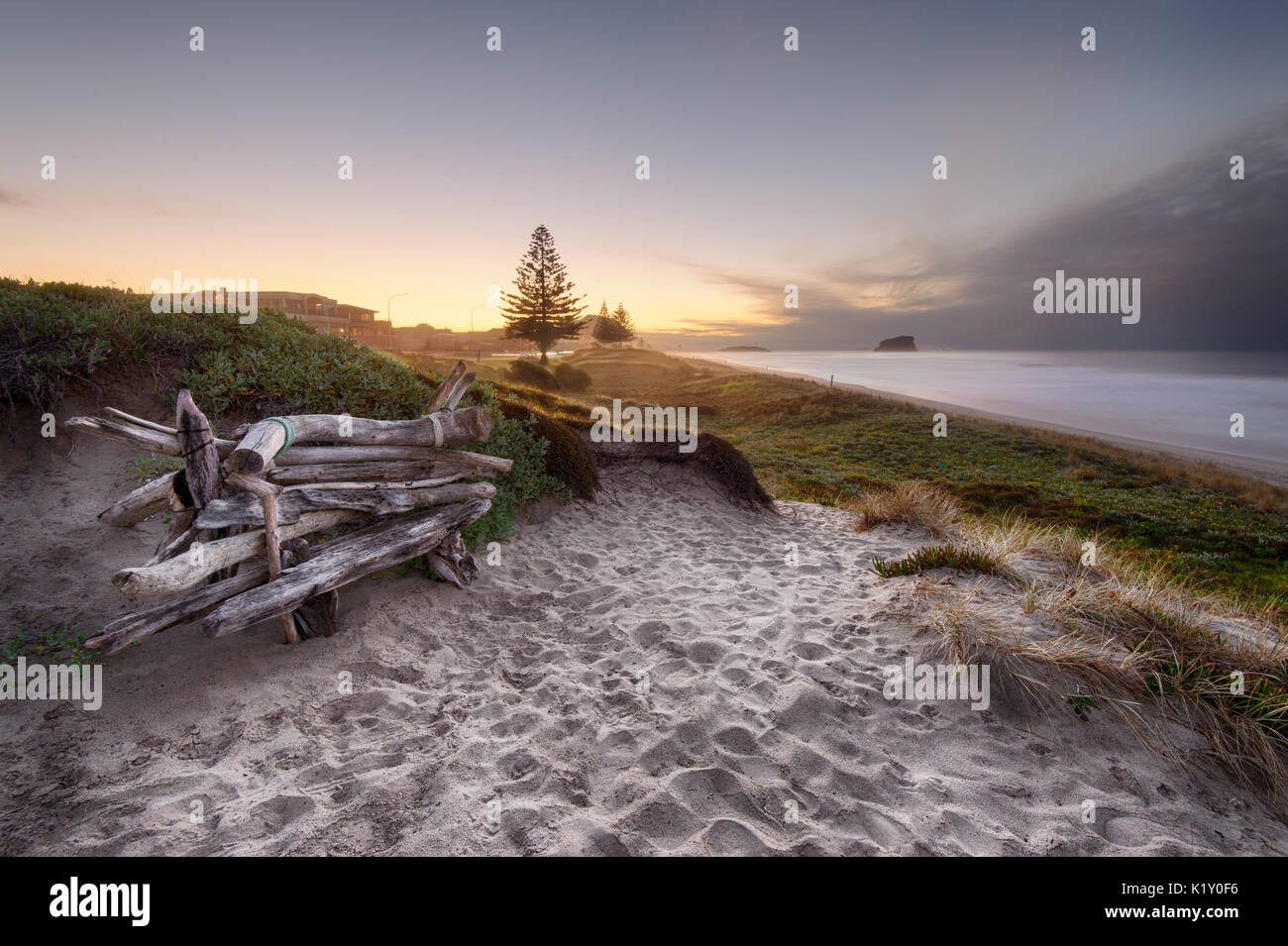 Driftwood Sitzbank auf Sand Dünen mit Blick auf Mount Maunganui Strand bei Sonnenuntergang. Stockfoto