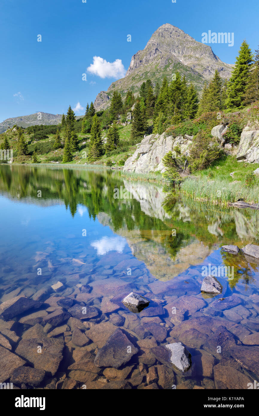 Europa, Italien, Trentino, Trento, Lagorai-Kette, die Colbricon Seen im Sommer mit dem Berg im Wasser spiegeln Stockfoto
