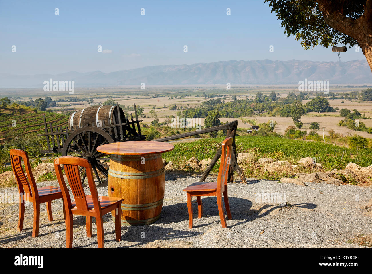 Red Mountain Wine Estate Vineyard, Nyaungshwe, Myanmar (Burma), Asien Stockfoto