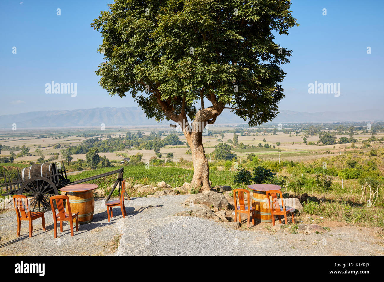 Red Mountain Wine Estate Vineyard, Nyaungshwe, Myanmar (Burma), Asien Stockfoto