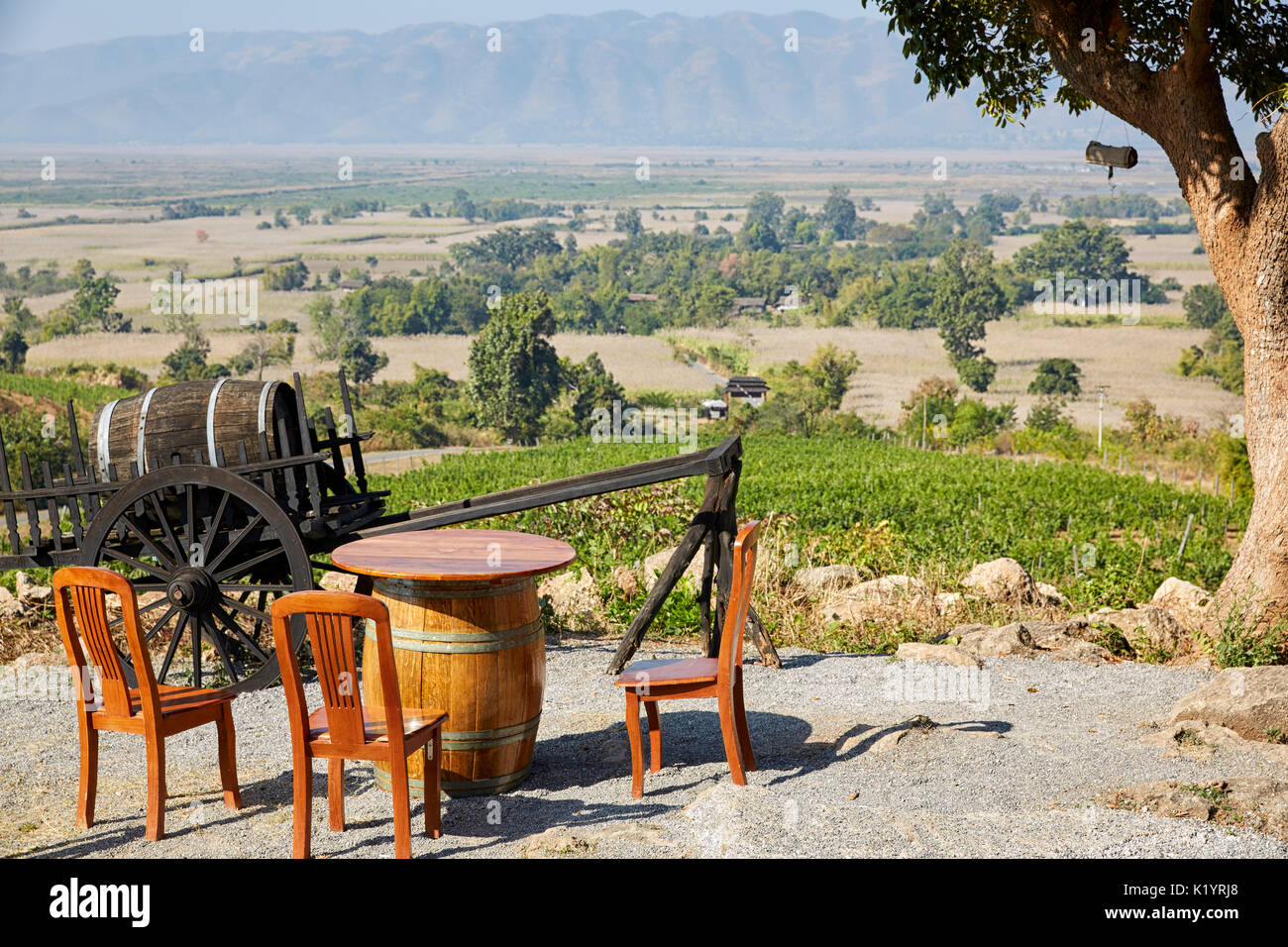 Red Mountain Wine Estate Vineyard, Nyaungshwe, Myanmar (Burma), Asien Stockfoto