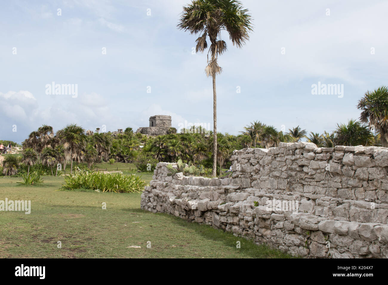 Schönen Klippe Mayaruinen von Tulum mit tropischen Bäumen und grünen Laub Stockfoto