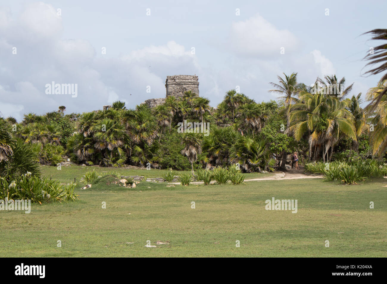 Schönen Klippe Mayaruinen von Tulum mit tropischen Bäumen und grünen Laub Stockfoto