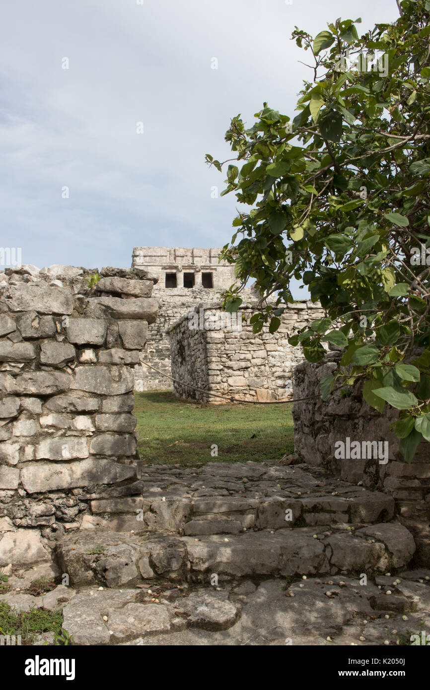 Schönen Klippe Mayaruinen von Tulum mit tropischen Bäumen und grünen Laub Stockfoto