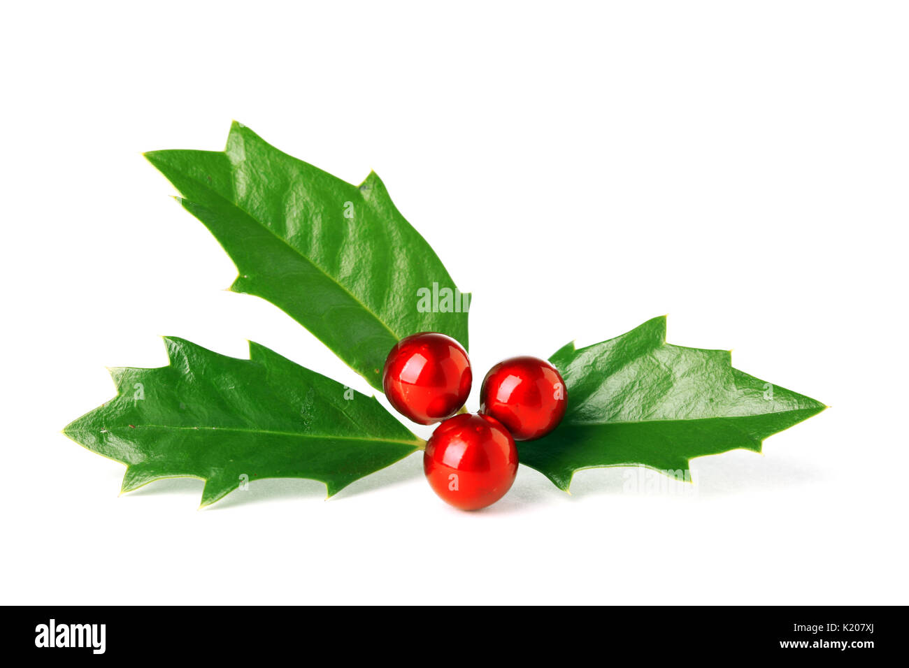 Helle grüne Weihnachten Holly mit roten Beeren isoliert auf weißem Stockfoto