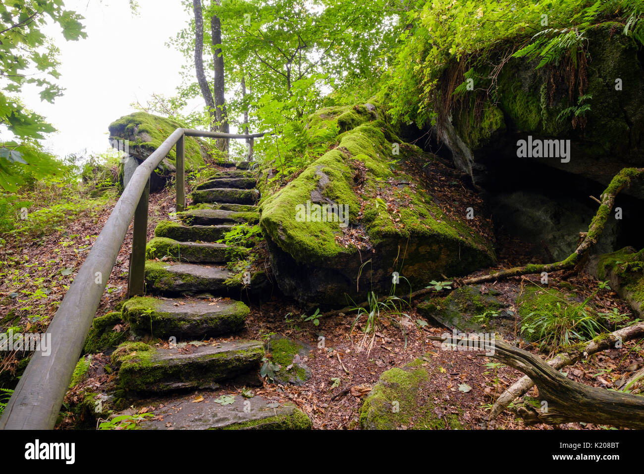 Steinerne Treppe, Naturschutzgebiet Schlosspark Falkenstein, Falkenstein, Bayerischer Wald, Oberpfalz, Bayern, Deutschland Stockfoto