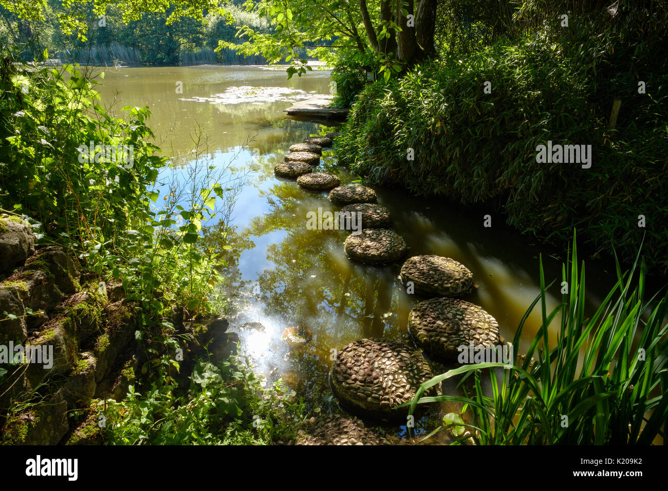 Pfad auf dem Mühlweiher im Schlosspark Dennenlohe Dennenlohe, in der Nähe von Unterschwaningen, Fränkisches Seenland Stockfoto