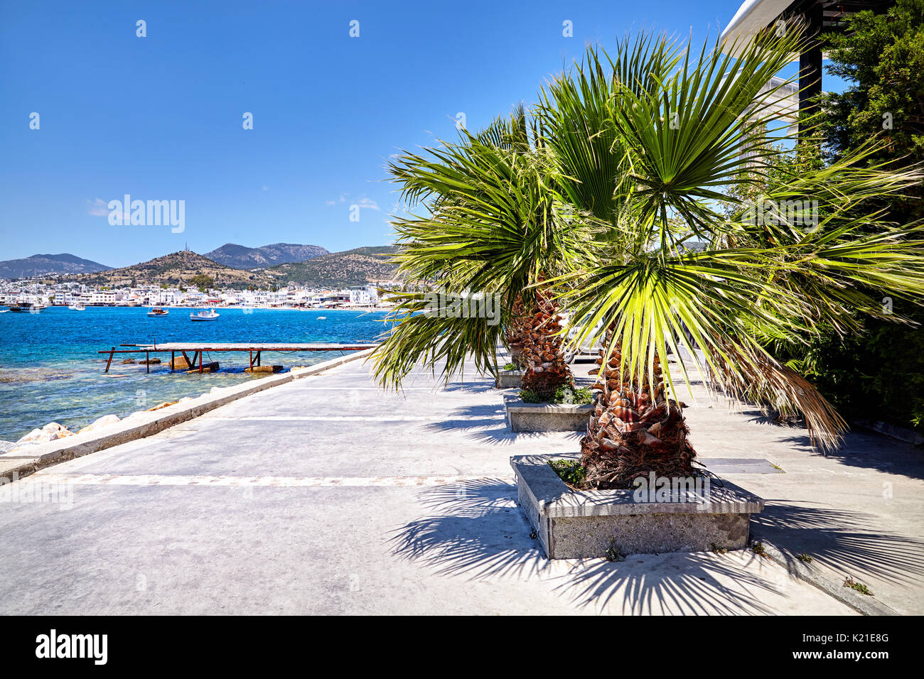 Palmen an der Straße von Badeort in der Nähe der Lagune mit Booten auf dem Strand in Bodrum, Türkei Stockfoto