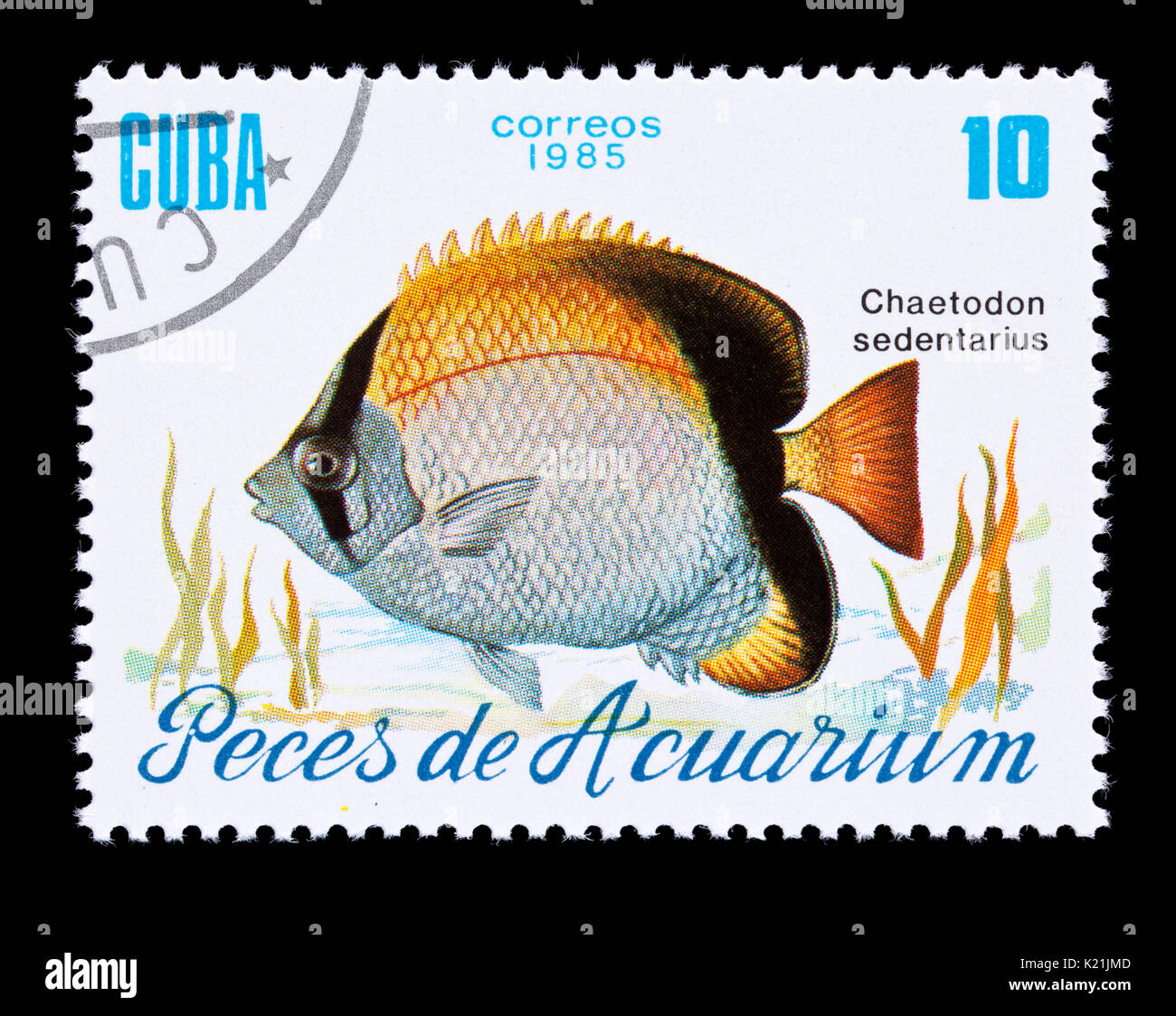 Briefmarke aus Kuba, ein Riff Falterfische (Chaetodon sedentarius) Stockfoto