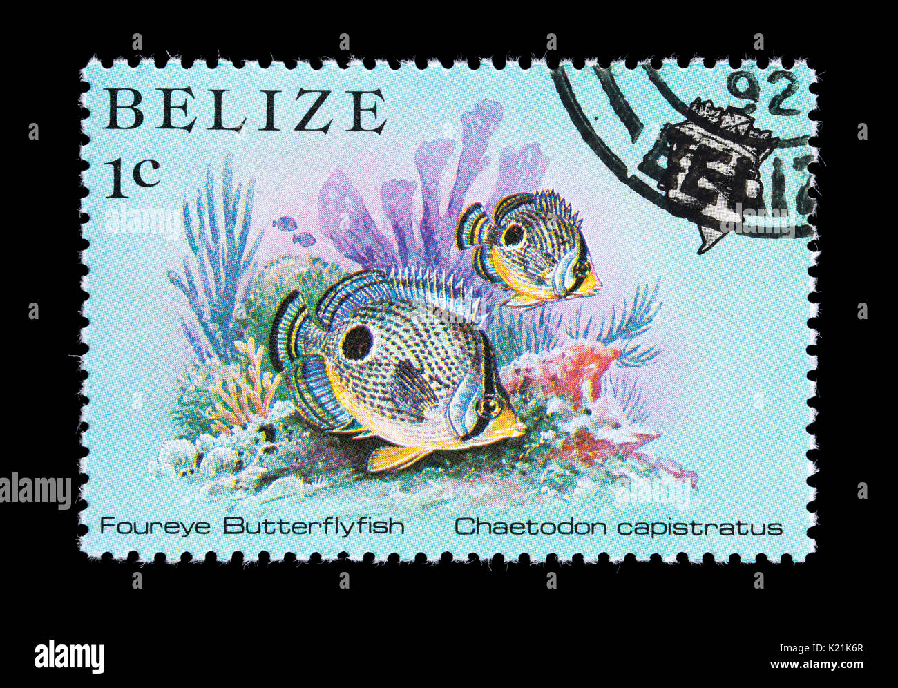 Briefmarke aus Belize Darstellung einer foureye Falterfische (Chaetodon capistratus) Stockfoto