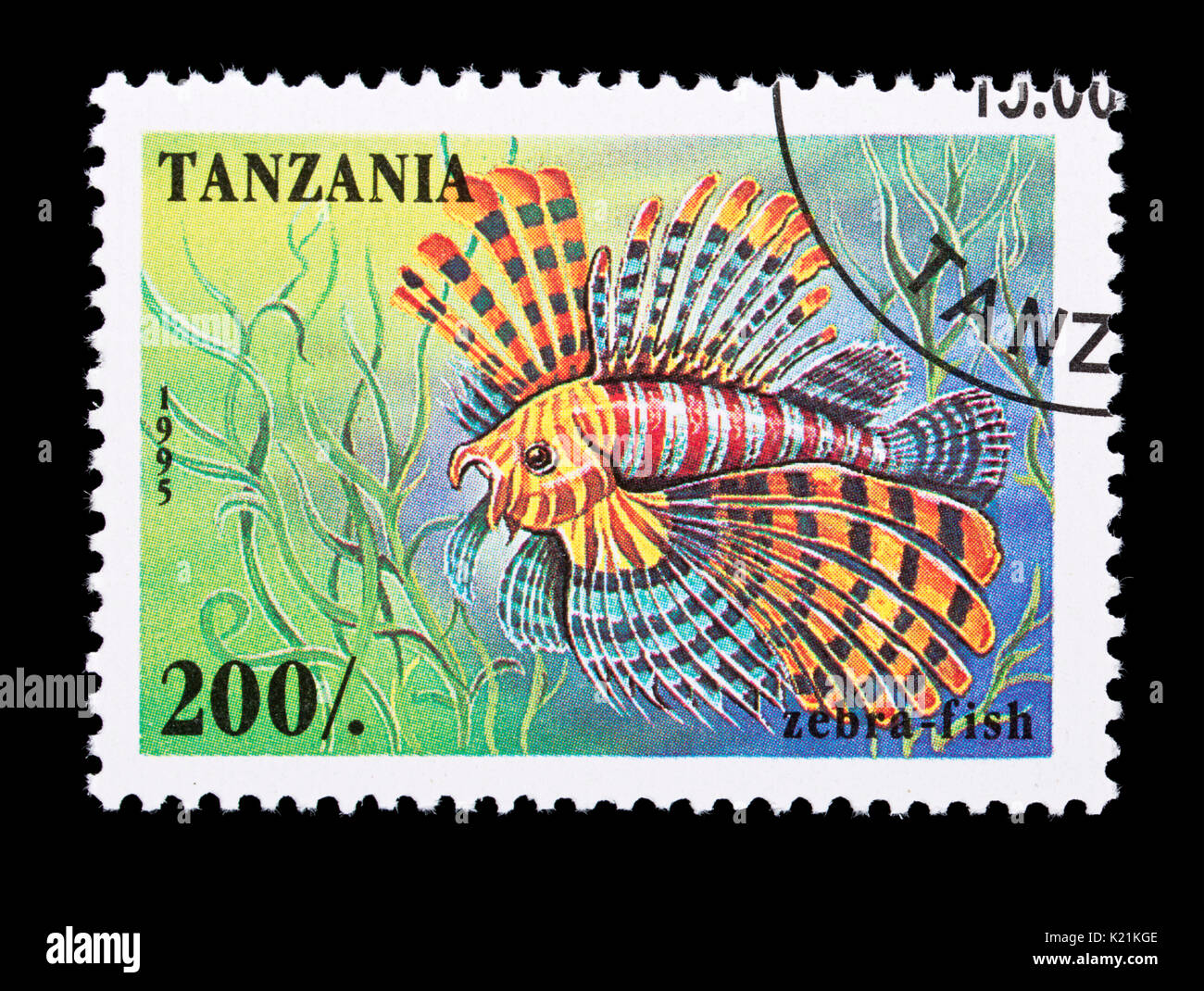 Briefmarke aus Tansania, die Darstellung eines Zebrafisch. Stockfoto