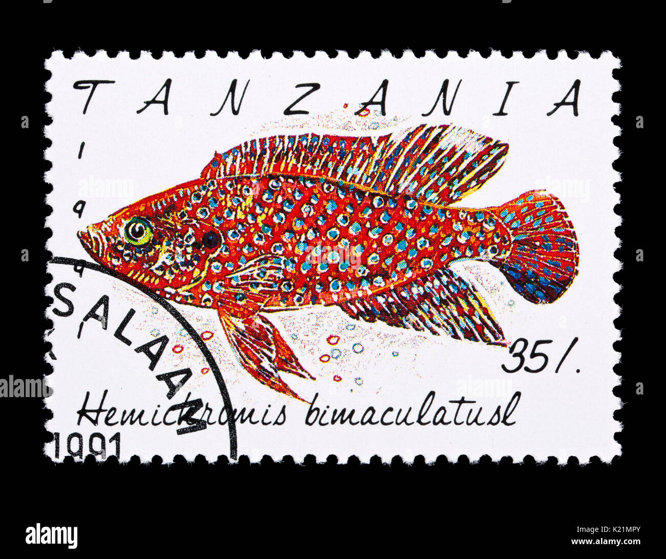 Briefmarke aus Tansania, ein Juwel cichlid (Hemichromis Bimaculatus) Stockfoto