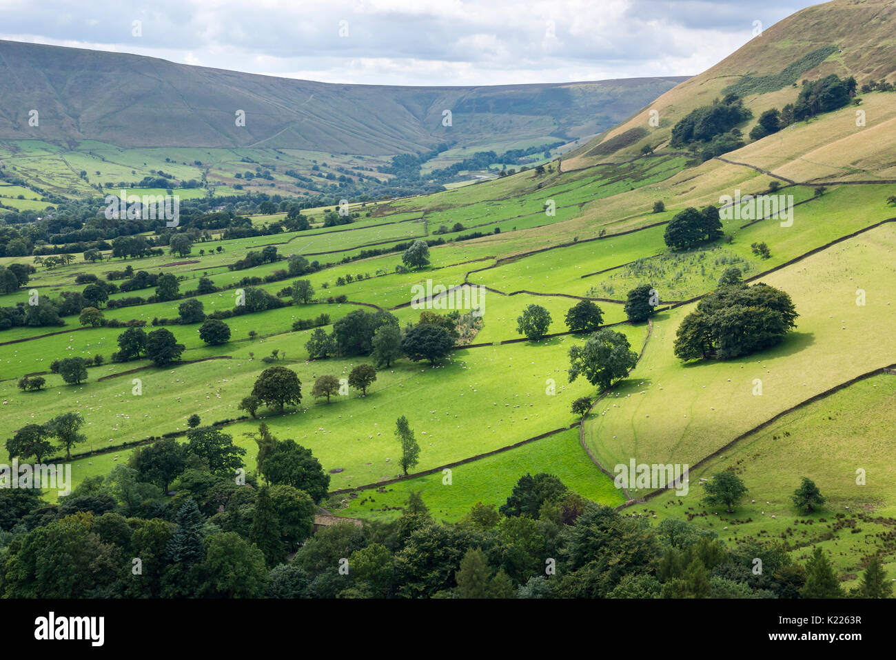 Muster der grüne Felder in das Tal von Morley, Peak District, Derbyshire, England. Stockfoto