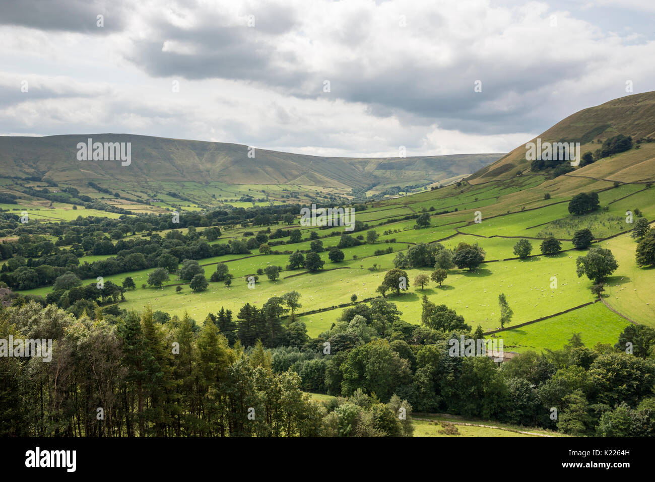 Muster der grüne Felder in das Tal von Morley, Peak District, Derbyshire, England. Stockfoto