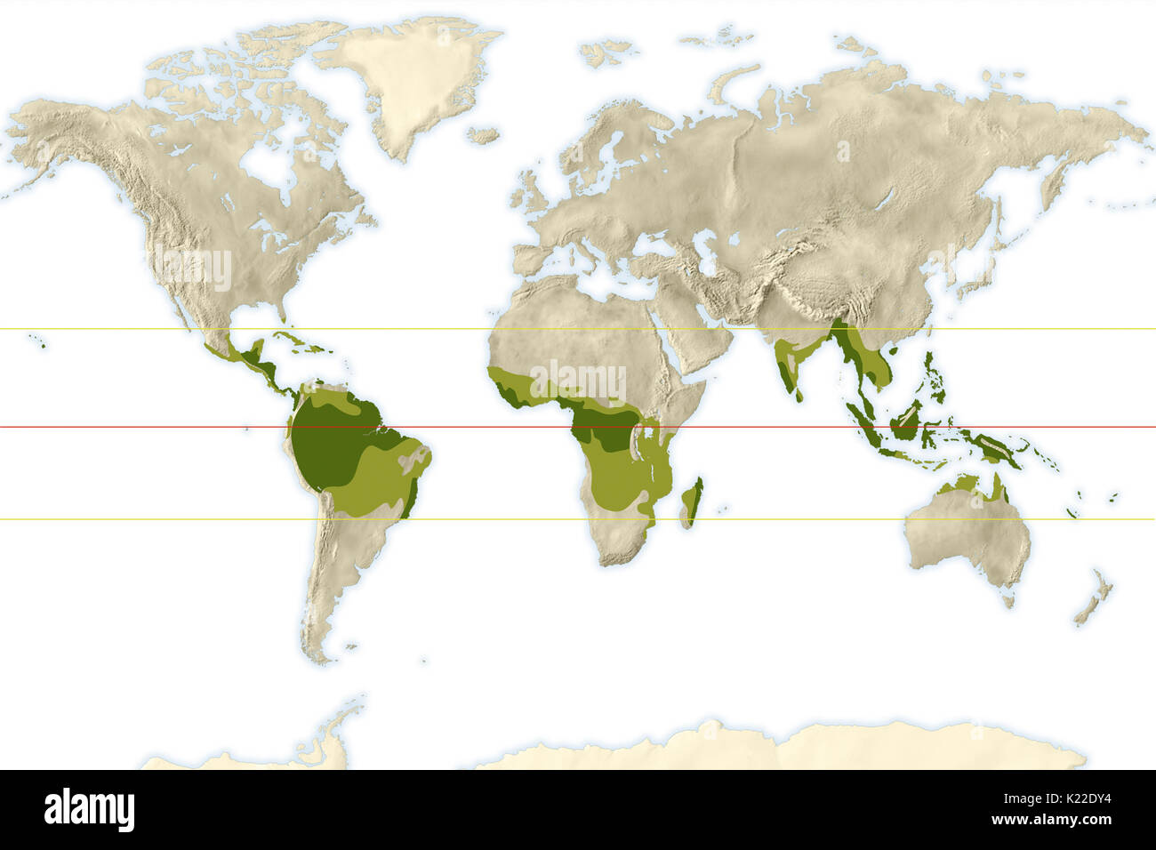 Der Amazonas und Kongo Flusseinzugsgebiete, rund um den Äquator befinden, sind in einem tropischen Klima, wie dem Littoral Gebiete in Südostasien, Australien, Nord- und Mittelamerika. Die nassen und trockenen tropischen Klima ist vor allem in Afrika, Südamerika und Asien. Verschiedene Arten von Vegetation (trockenen tropischen Wald, Savanne) Entwicklung in diesen Regionen, der Kennzeichnung eine Übergangszone zwischen Äquatorialen, semi-ariden und gemäßigten Zonen. Stockfoto