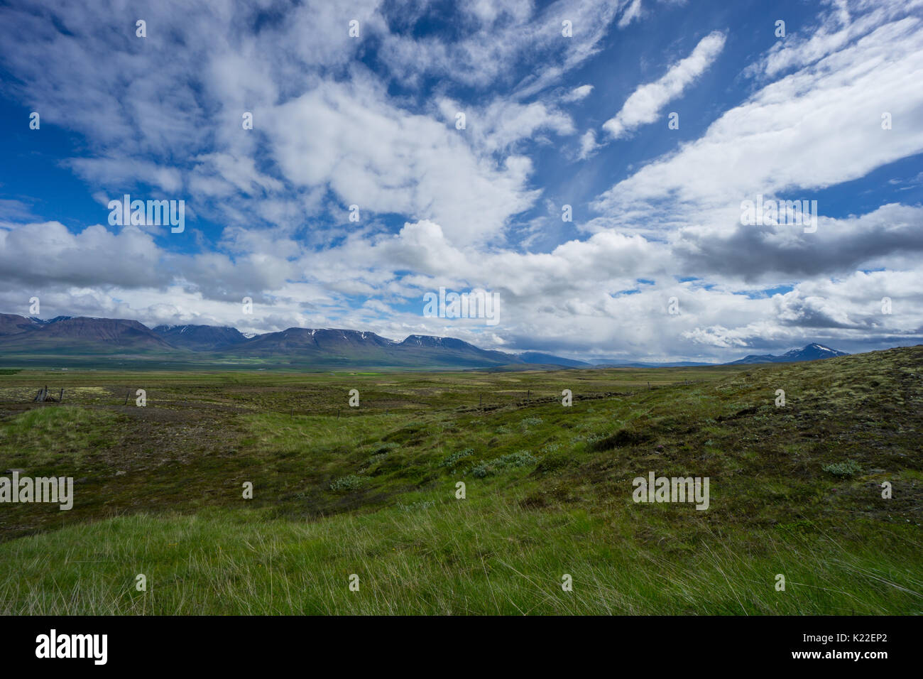 Island - Fantastische Open Range mit Schnee bedeckte Berge hinter grünen, flachen Landschaft und blauer Himmel Stockfoto