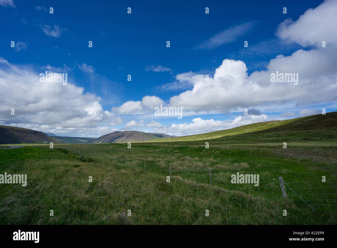 Island - grüne Landschaft ohne Ende und perfekt sonnigen Wetter Stockfoto